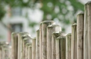 Read more about the article Despre a pune limite în relațiile cu ceilalți