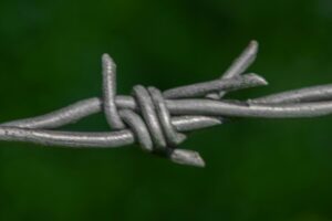 Read more about the article Legătura traumatică sau durerea ca normalitate