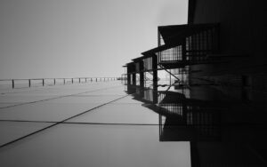 Read more about the article Despre ambivalență